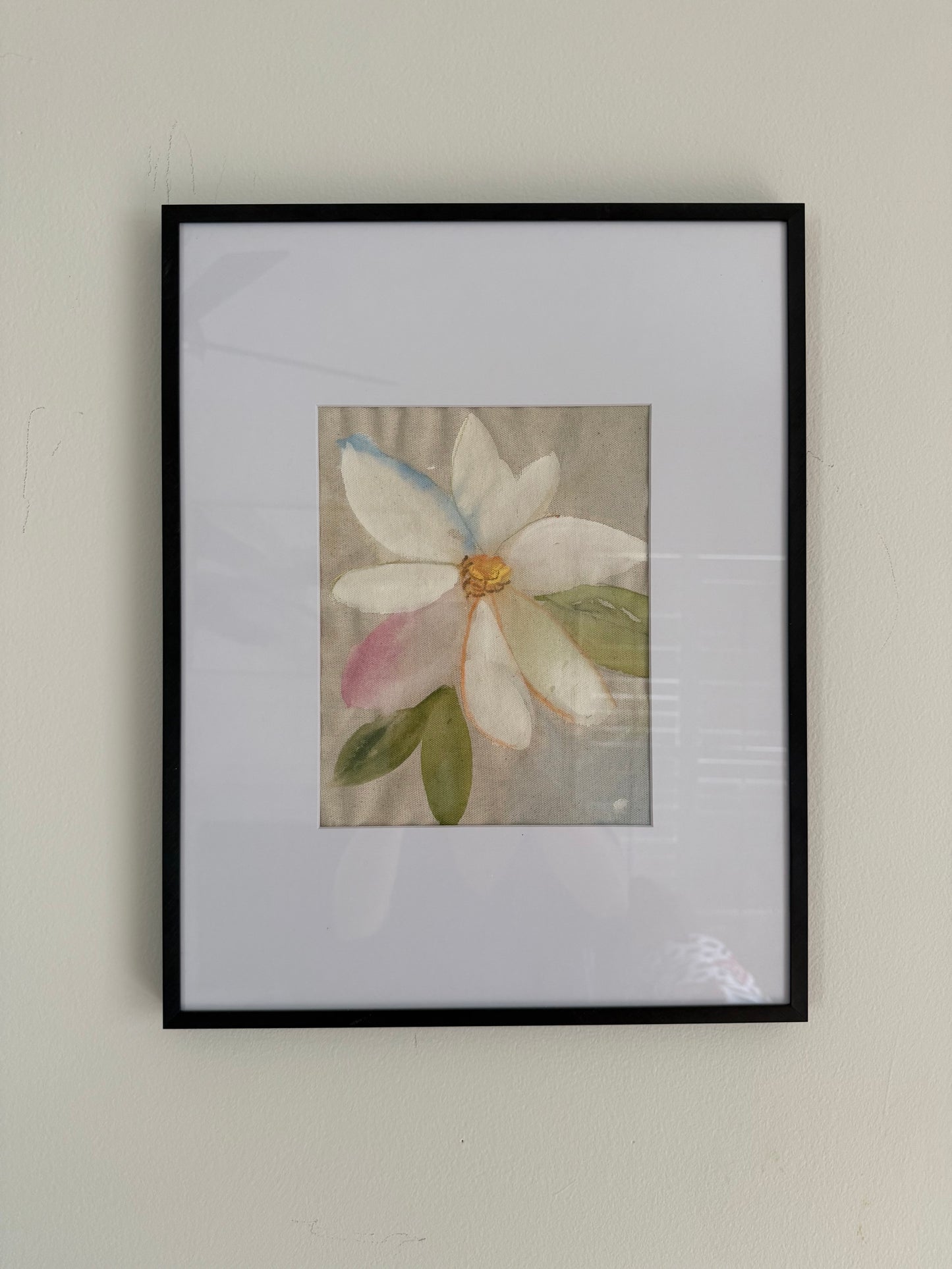 Magnolia 1
