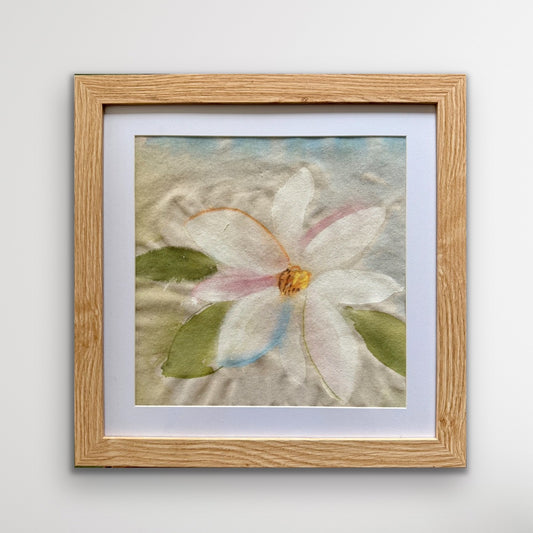 Magnolia 3